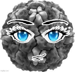 Sexy Virus Meme Template