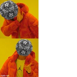 Flu Version Drake Meme Meme Template