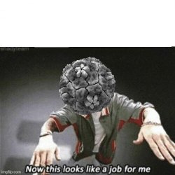 this looks like a job for flu Meme Template