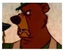 Breakdown Bear Meme Template