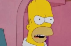 Homer Simpson Angry Meme Template