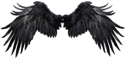Black Wings Meme Template