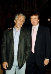 Donald and Epstein Meme Template