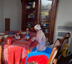 Heart attack Dog dancing Meme Template