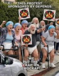 Elderly No Kings Protestors Meme Template