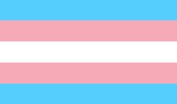 trans flag Meme Template