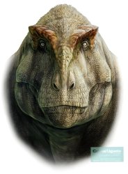 Annoyed tyrannosaurus Meme Template