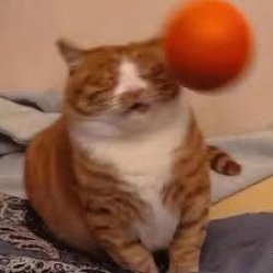 oh god make it stop Meme Template