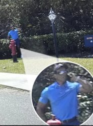 Tiger 2 Meme Template