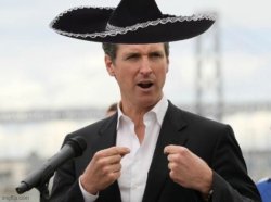 Greasy Gavin look at me Meme Template