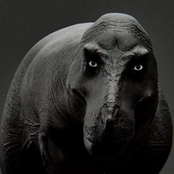 scary t-rex Meme Template