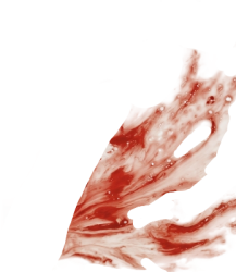 Blood Spit Meme Template