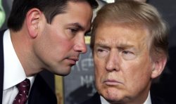 Rubio and Trump Meme Template