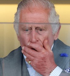 My King? Meme Template