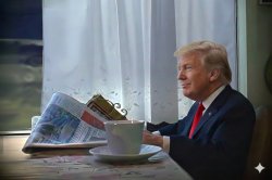 BSM Donald Trump reading newspaper Meme Template
