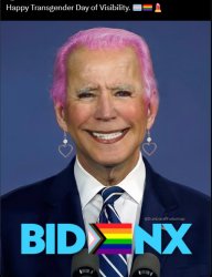 Trans Day of Visibility Meme Template