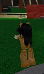 roblox moderation ahh Meme Template