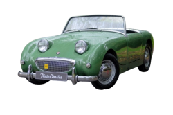 Mr Frog’s Car Meme Template