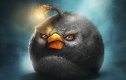 Angry Birds Meme Template