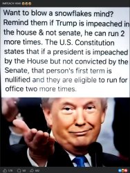 Trump Impeached run again Meme Template