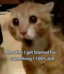 Me after I get blamed for something I 100% did Meme Template
