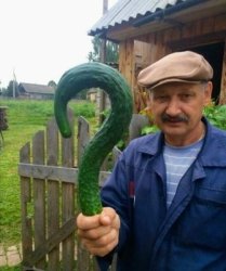 A question arose Meme Template