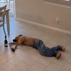 Chrisjoines1 Meme Template