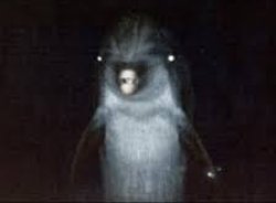 Evil Dolphin Meme Template