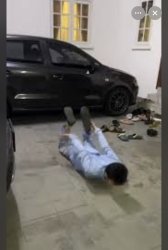 Sea lion in school Meme Template