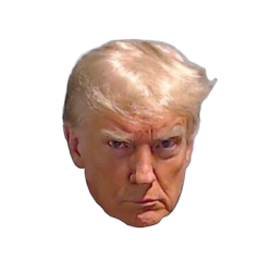 Trump Mugshot Meme Template