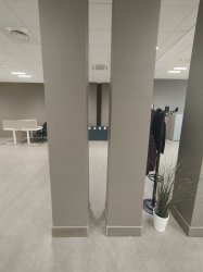 Pillars of Body SHaming Meme Template