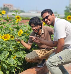 Sunflower point Meme Template