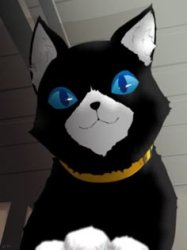 Morgana Meme Template
