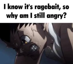 I know it’s ragebait, so why am I still angry? Meme Template