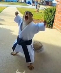 Squirrel Meme Template