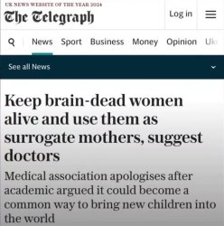 brain dead women incubators Meme Template