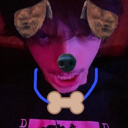 Kitten Lover Meme Template