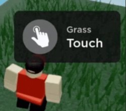 touch grass Meme Template
