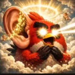 angry bird with ear open peak Meme Template