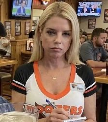 Pam Bondi Hooters girl Meme Template