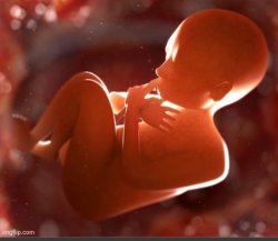 Unborn baby Meme Template