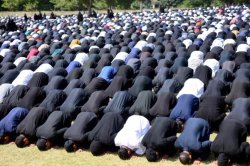 Community Identification Science Meme Template