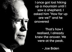 Joe Biden Peak Meme Template