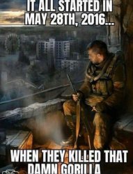 Girl looking at guy shadow Meme Template