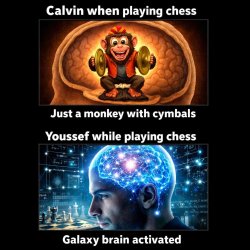 make a meme with 2 images one with a brain with the monkey clapp Meme Template