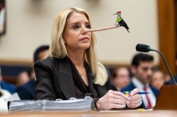 Bondi_liar Meme Template