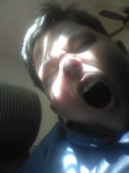 C a l e b  e m e r s o n goes %67676767767676 crazy UWU Meme Template