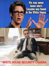 Hunter Biden Cocaine Meme Template