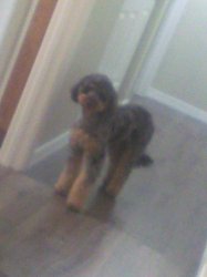 coco carver 2 Meme Template