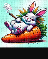 Bunny got the good Meme Template